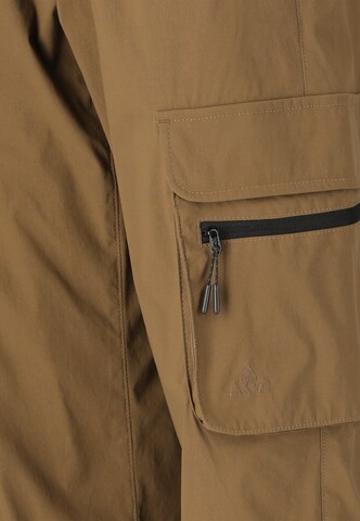Whistler Regular Sports trousers 'Portus' in Brown