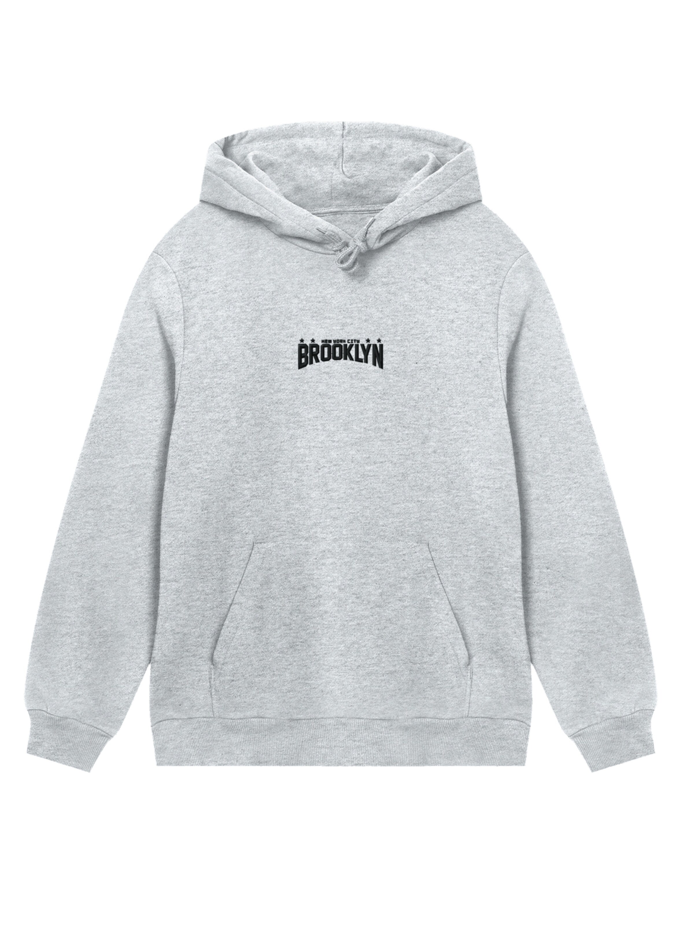 F4NT4STIC Sweatshirt in Grey: front