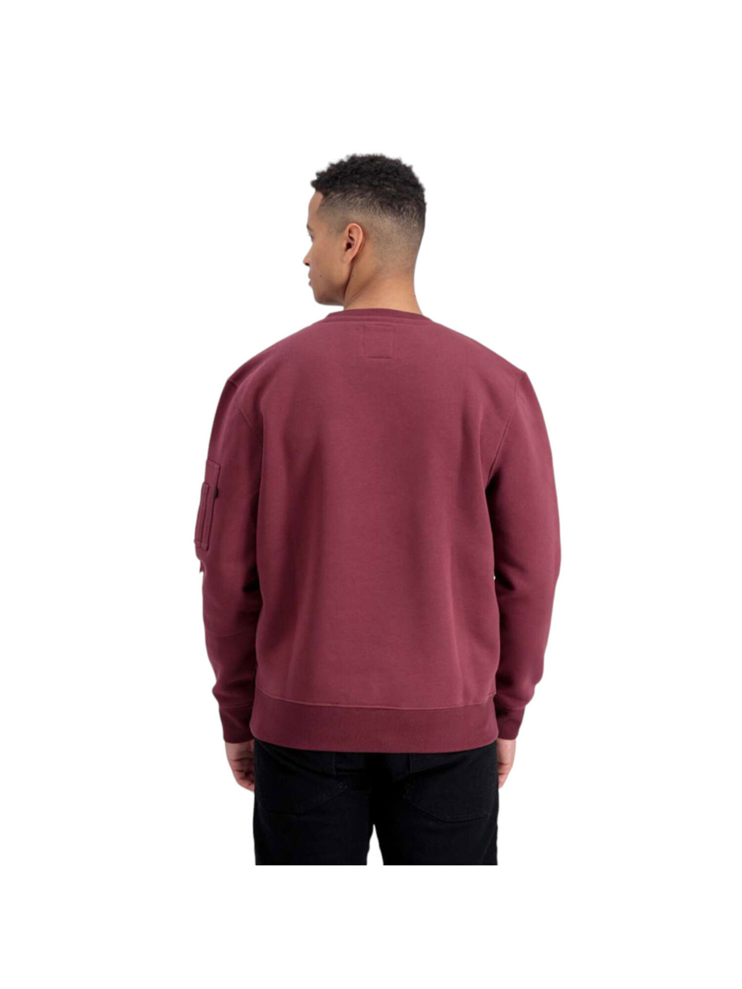 ALPHA INDUSTRIES Sweatshirt 'Alpha Label'‌‌‌‌‌ in Rot