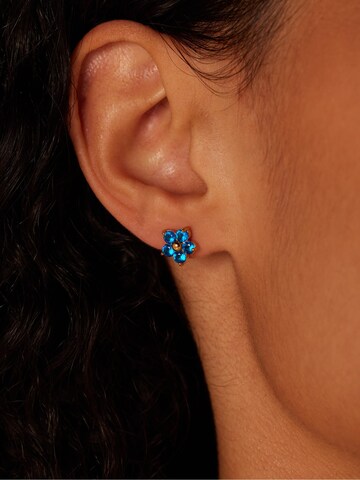 Lucardi Earrings in Blue: front