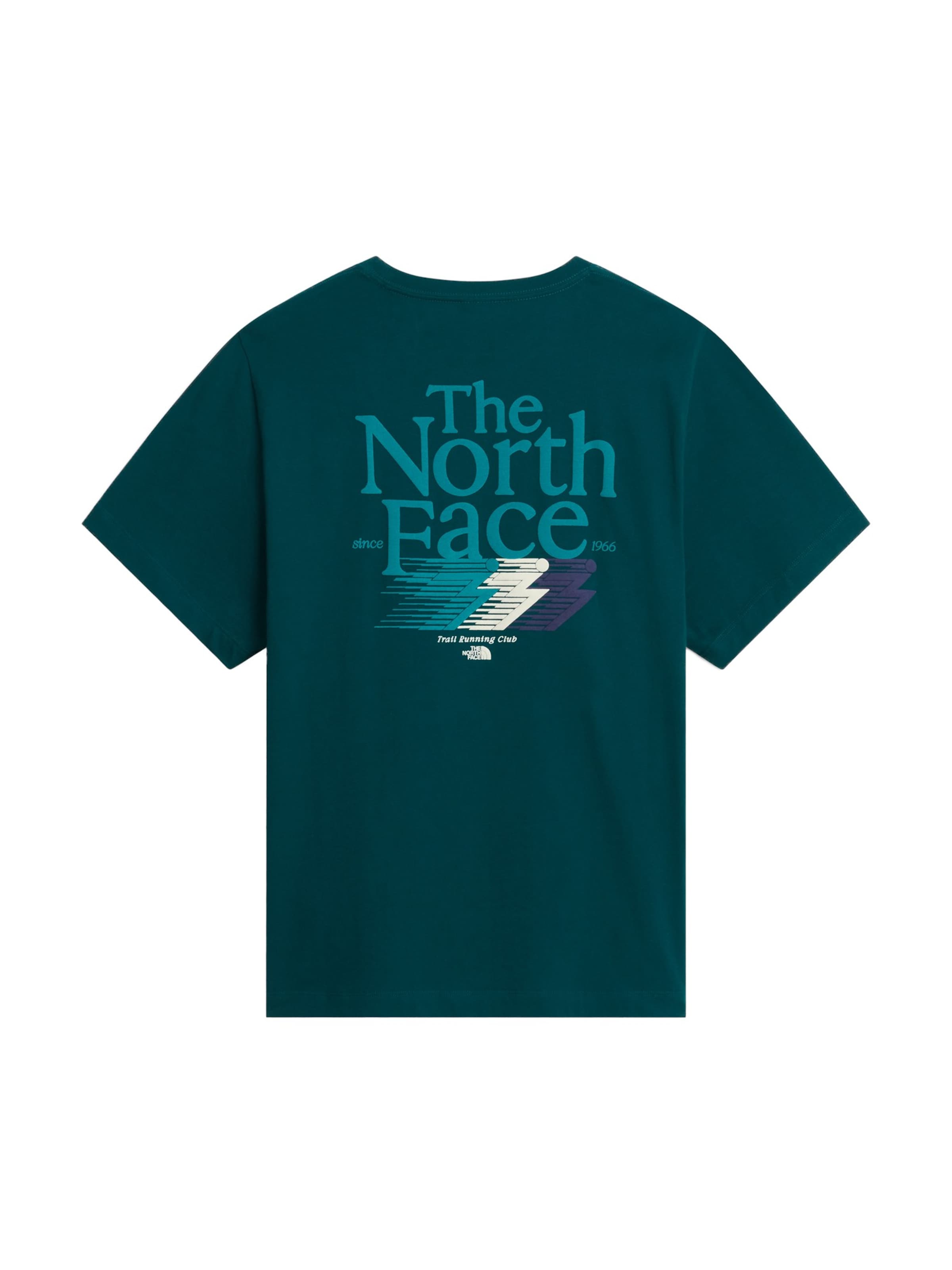 THE NORTH FACE T-shirt 'Retro Trail' i grön