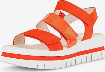 Sandalo di GABOR in arancione: frontale