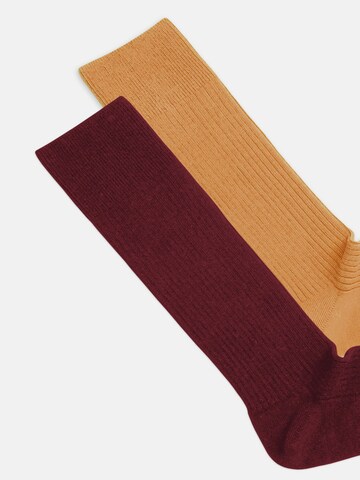 DillySocks Socks in Brown