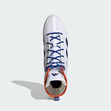 ADIDAS PERFORMANCE Sports shoe 'Box Hog 4' in White
