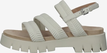 SANSIBAR Sandalen met riem in Grijs