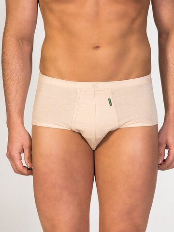 Slip 'Senior Fly Front Brief' di zd ZERO DEFECTS in beige: frontale