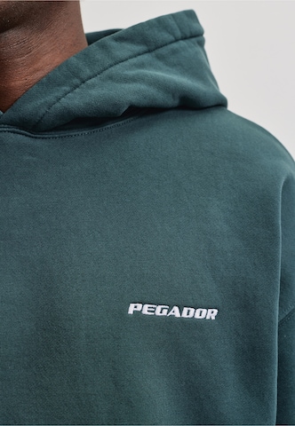 Pegador Sweatshirt in Grün