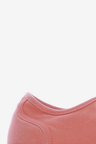 Palladium Sneaker 39 in Pink
