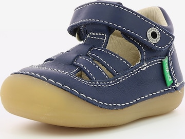 Kickers First-Step Shoes 'SUSHY' in Blue: front