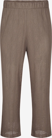 Zizziregular Hlače 'VJady' - smeđa boja: prednji dio