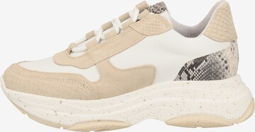 SPM Sneakers laag in Beige: voorkant