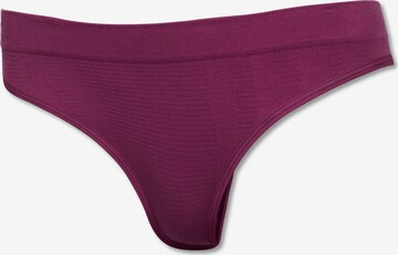 SCHIESSER Thong 'Thong' in Purple: front