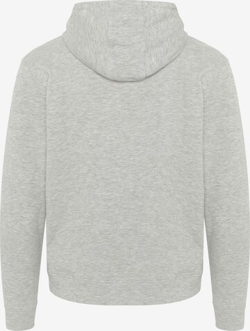 Detto Fatto Sweatshirt in Grey