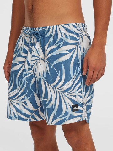 O'NEILL Swimming shorts in Blue