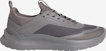 Baskets basses Calvin Klein en gris : devant