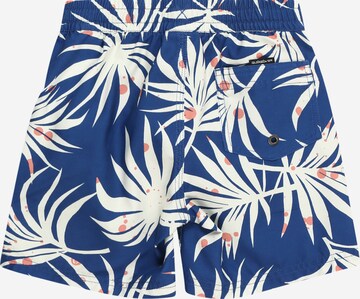 QUIKSILVER Sportbadeshorts 'EVERYDAY' in Blau