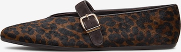 CESARE GASPARI Ballerina in Brown: front