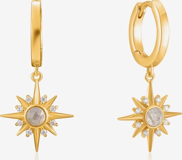 ANIA HAIE Earrings in Gold: front