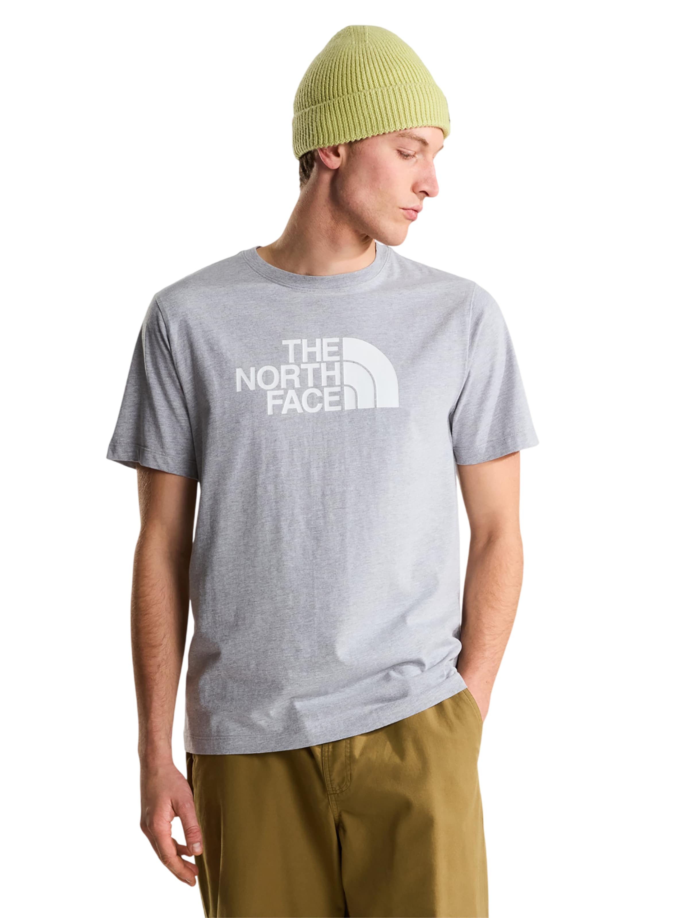 THE NORTH FACE Shirt 'Evolution Half Dome Regular' in L in Grey, Item view