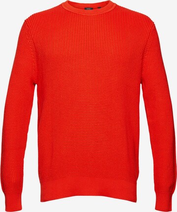 Esprit Collection Pullover in Orange: front