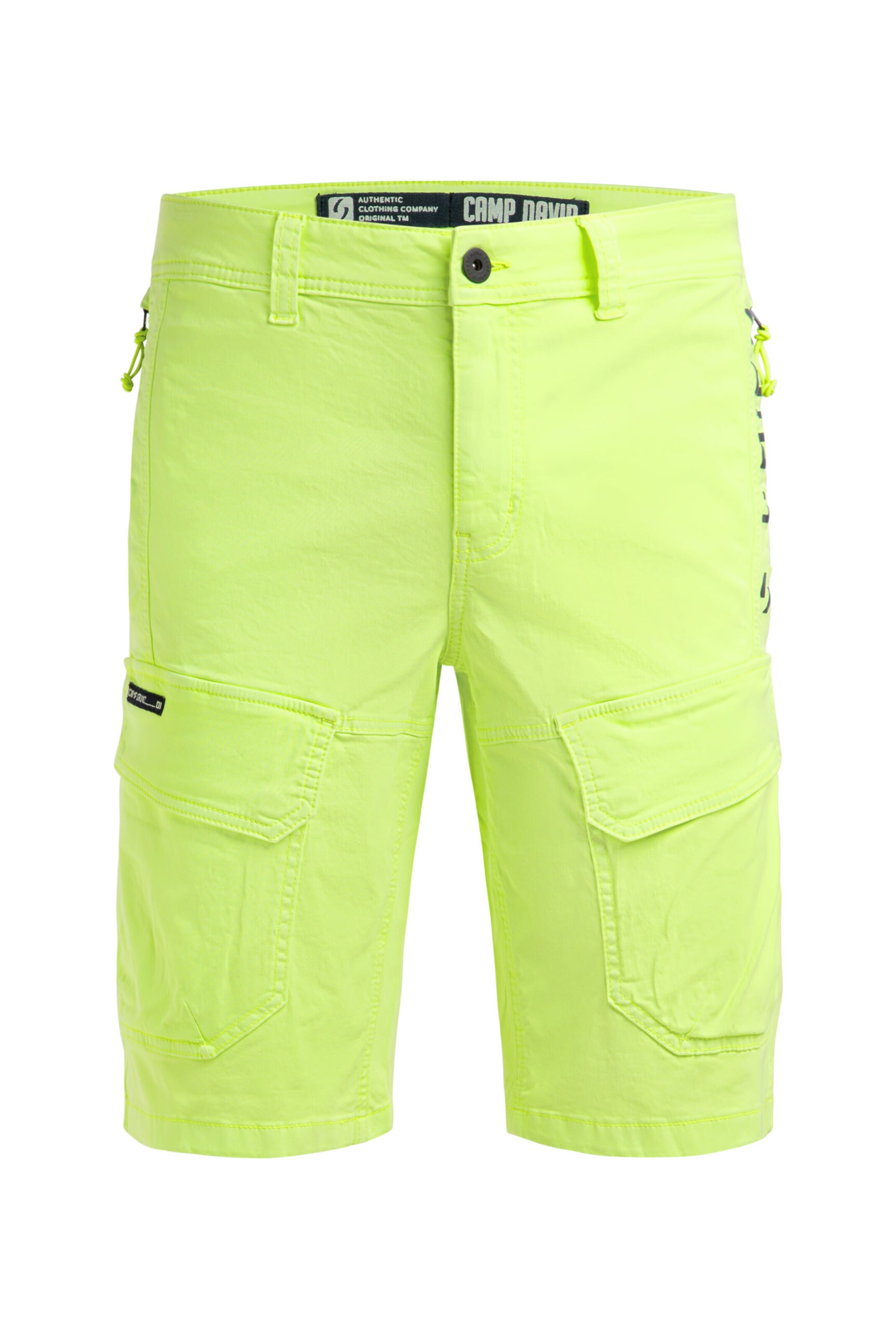 CAMP DAVID Regular Pants in Green: front