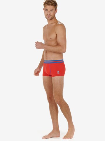 HOM Boxer shorts ' HOMRUN ' in Red
