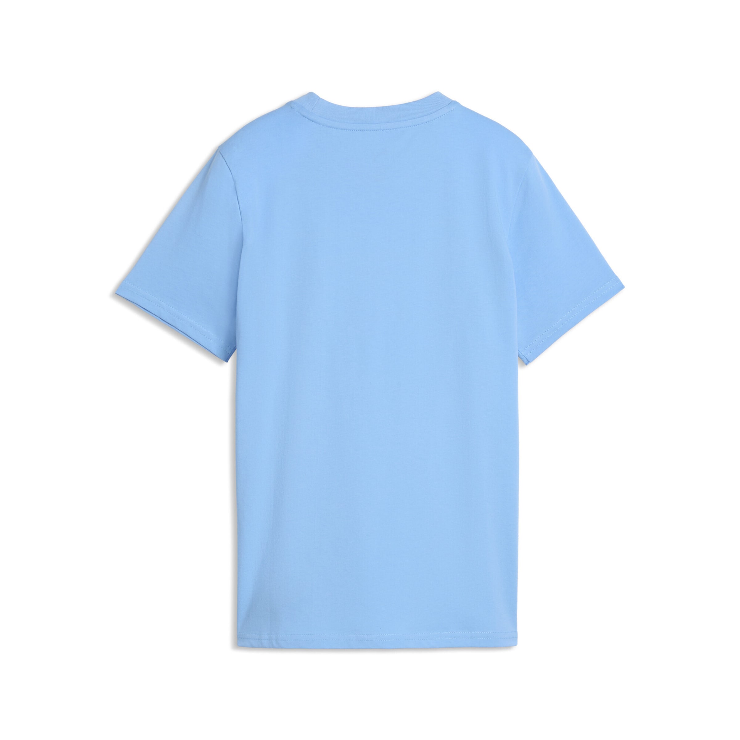 PUMA Functioneel shirt 'Manchester City FtblCulture' in Blauw