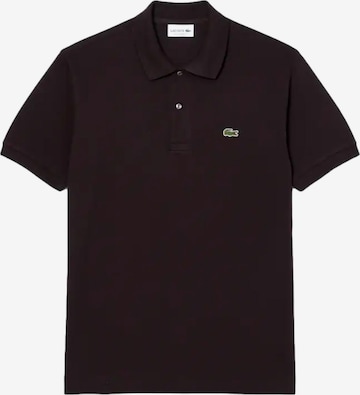 T-Shirt LACOSTE en marron : devant