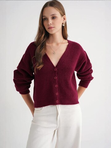 MixRay Knit Cardigan in Red: front
