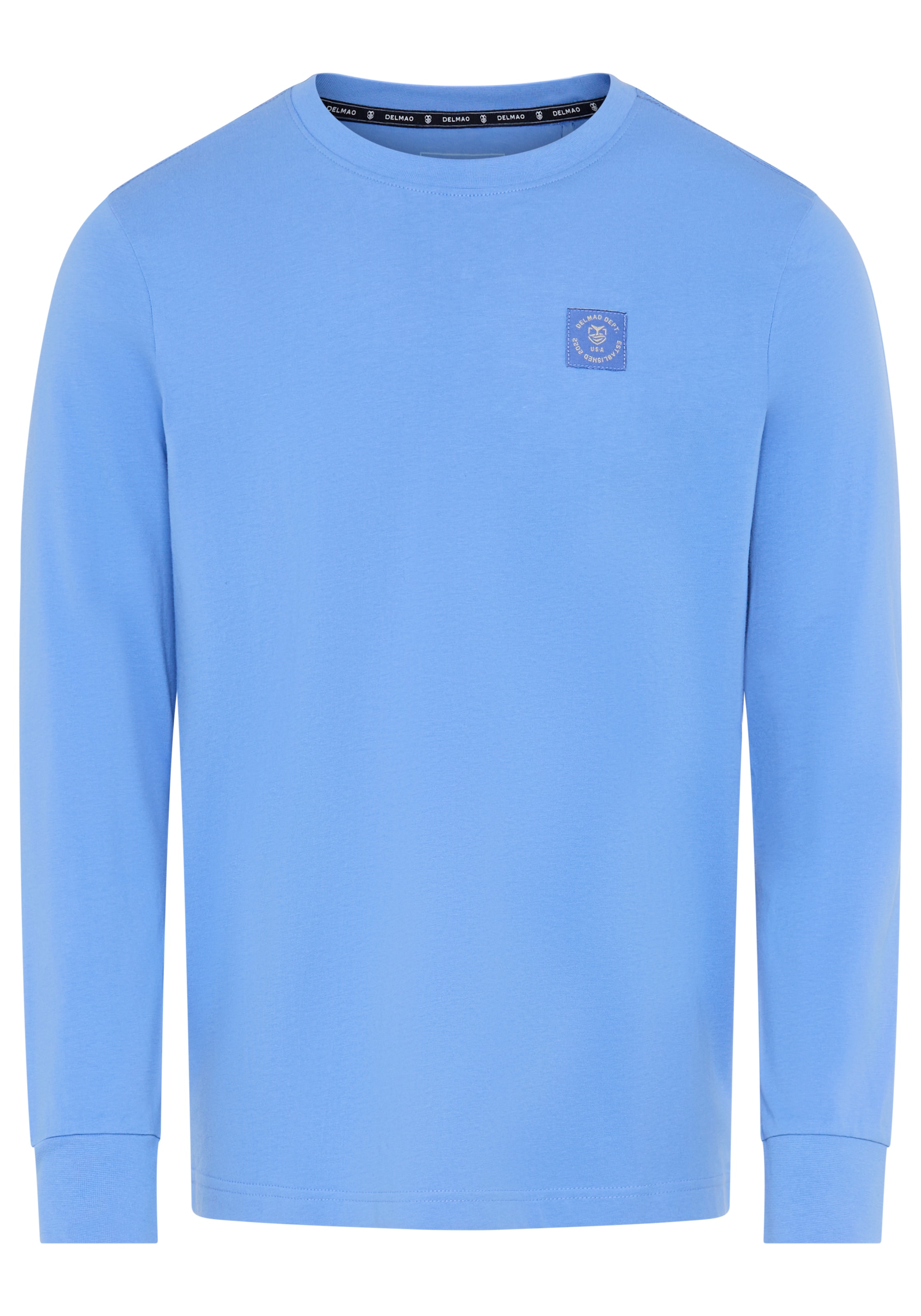 DELMAO Shirt in Blau: Vorderseite