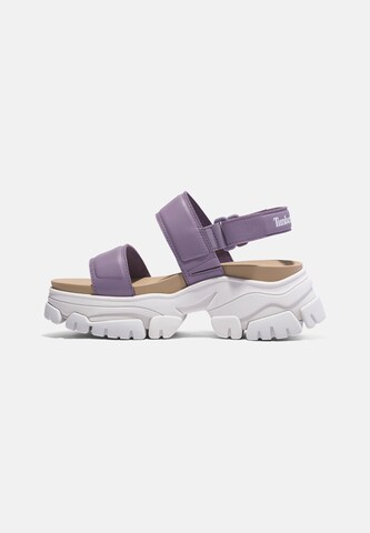 TIMBERLAND Strap sandal 'Adley' in Purple