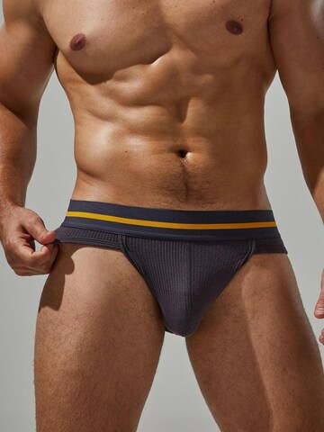 TAUWELL Panty in Brown