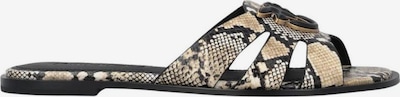 PINKO Schnürschuh in 41 in grau, Produktansicht