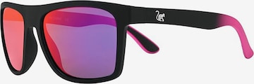 Surf Monkey Sports Sunglasses in Purple: front