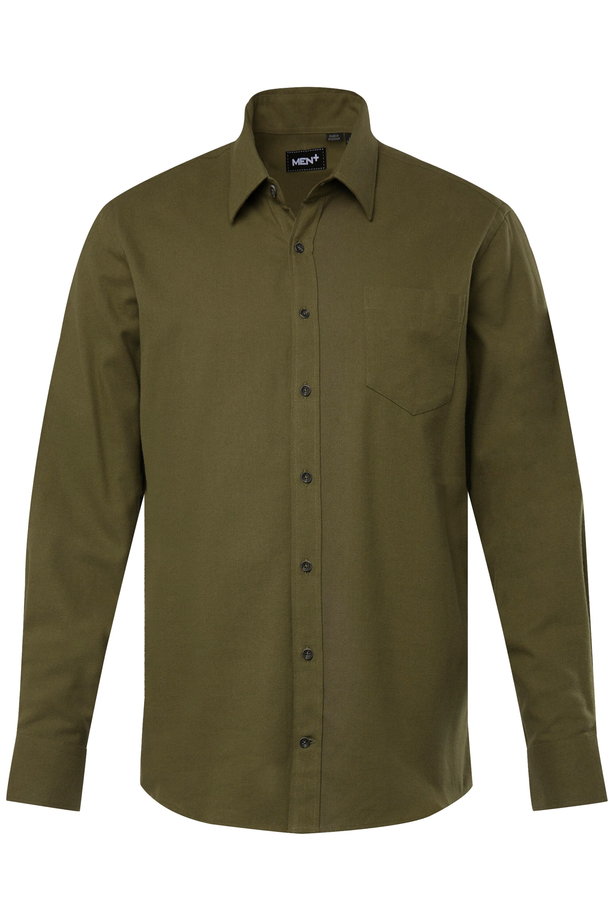 Men Plus Overhemd in Groen: voorkant