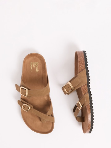 Friends Like These Žabky – hnědá