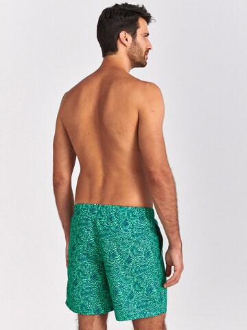 Shorts de bain Shiwi en vert