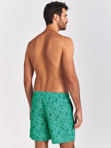 Shiwi Swimming shorts in Green