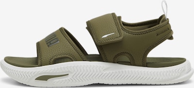 PUMA Sandale 'Pro 24' in grün / weiß, Produktansicht