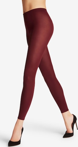 FALKE Leggings 'Cotton Touch' in Rot: Vorderseite
