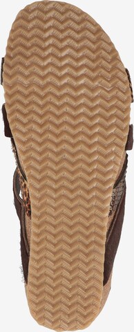 LAZAMANI Mules in Brown