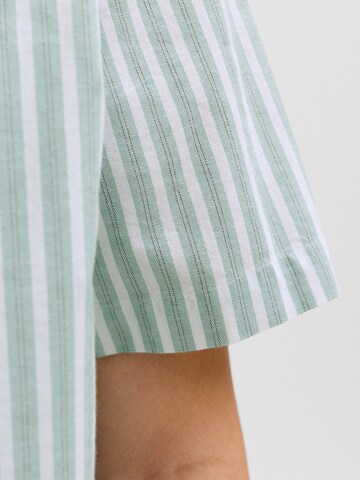 JACK & JONES Regular fit Overhemd 'JJCHAD' in Groen