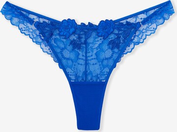 String di ETAM in blu: frontale