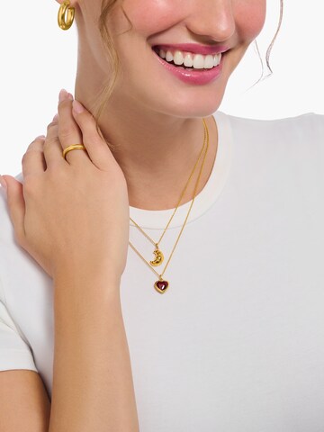 Thomas Sabo Kette in Gold: Vorderseite