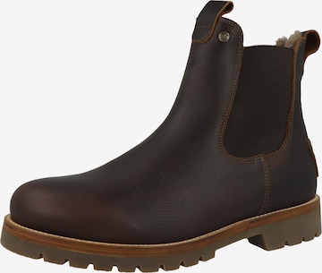 PANAMA JACK Chelsea boots 'Beny Igloo' in Brown: front