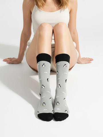Chaussettes 'DISCOVERY PACK EDITION 7 Unisex' The Arctic Bay en mélange de couleurs