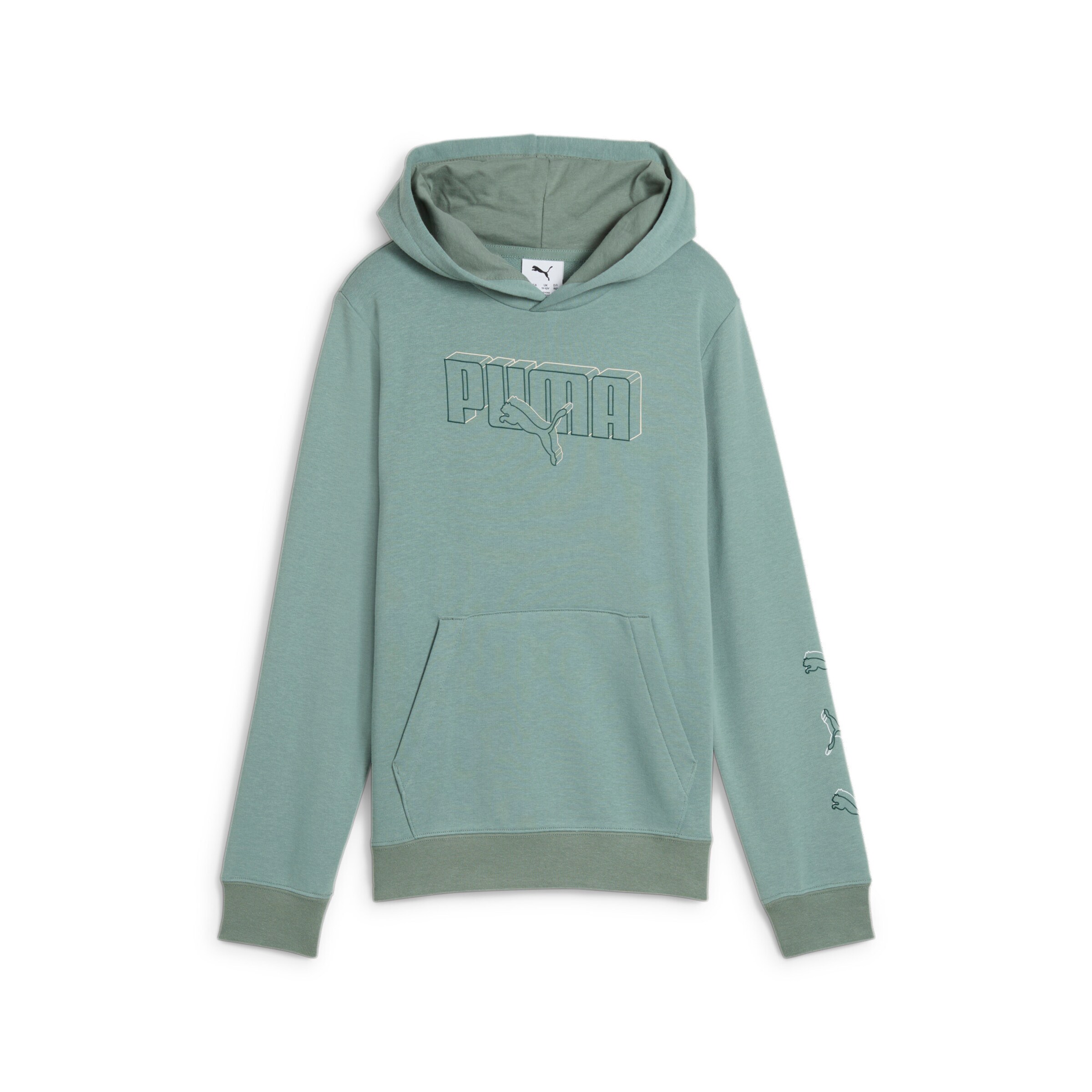 PUMA Sweatshirt in Green: front