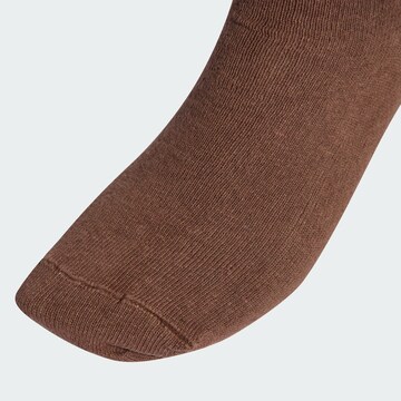 ADIDAS ORIGINALS Socks in Brown