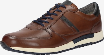 SIOUX Sneakers 'Rojaro-700' in Brown: front