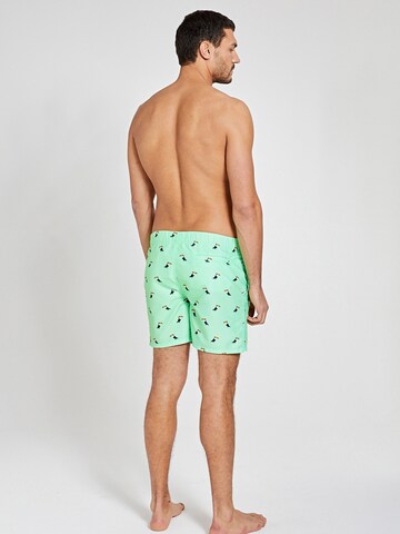 Shorts de bain 'Tucan' Shiwi en vert